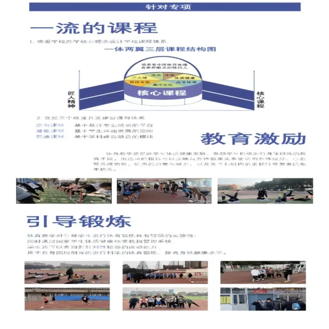 羽毛球团体赛战术前瞻:关键博弈视角解析